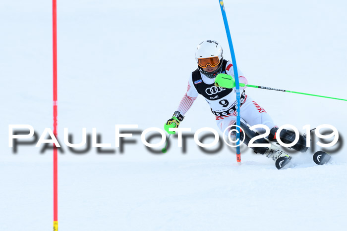 Slalom, NJC AC + FIS L+M