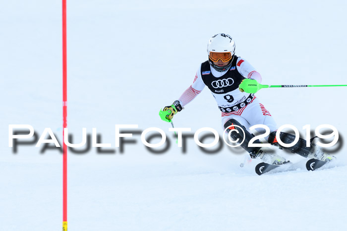 Slalom, NJC AC + FIS L+M