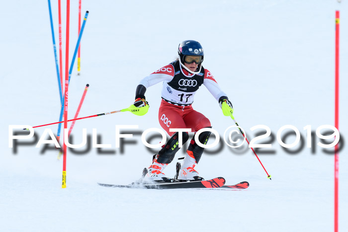 Slalom, NJC AC + FIS L+M