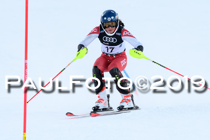 Slalom, NJC AC + FIS L+M