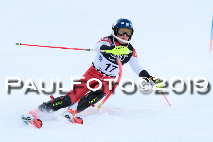 Slalom, NJC AC + FIS L+M