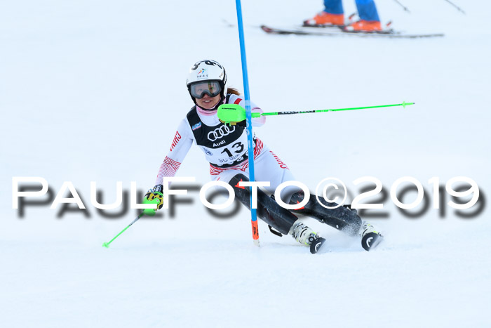 Slalom, NJC AC + FIS L+M