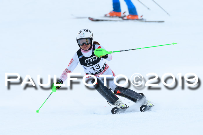 Slalom, NJC AC + FIS L+M