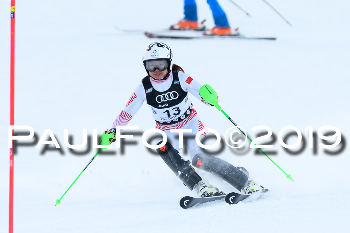 Slalom, NJC AC + FIS L+M