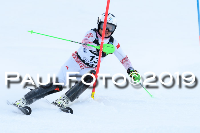 Slalom, NJC AC + FIS L+M