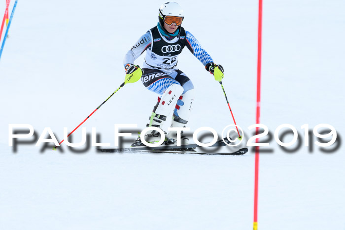 Slalom, NJC AC + FIS L+M