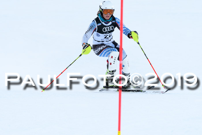 Slalom, NJC AC + FIS L+M