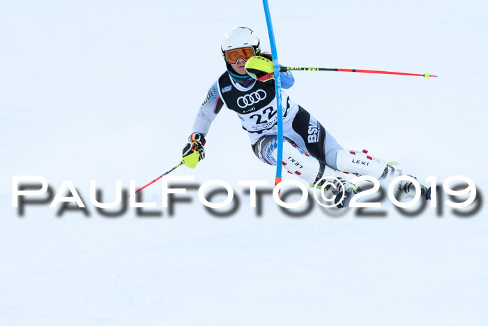 Slalom, NJC AC + FIS L+M