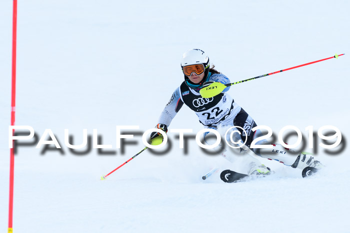 Slalom, NJC AC + FIS L+M