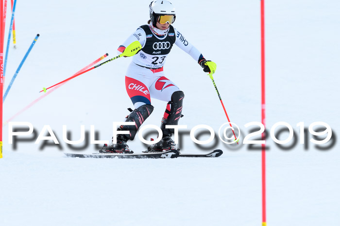 Slalom, NJC AC + FIS L+M