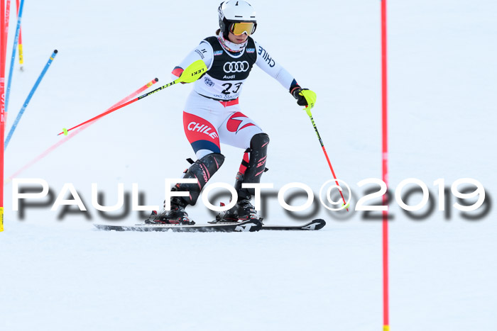 Slalom, NJC AC + FIS L+M