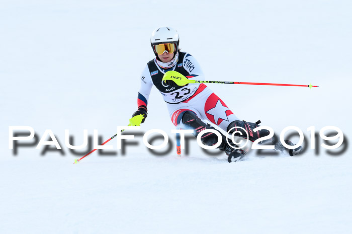 Slalom, NJC AC + FIS L+M