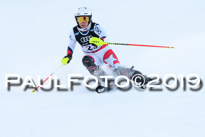 Slalom, NJC AC + FIS L+M