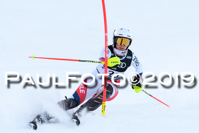 Slalom, NJC AC + FIS L+M