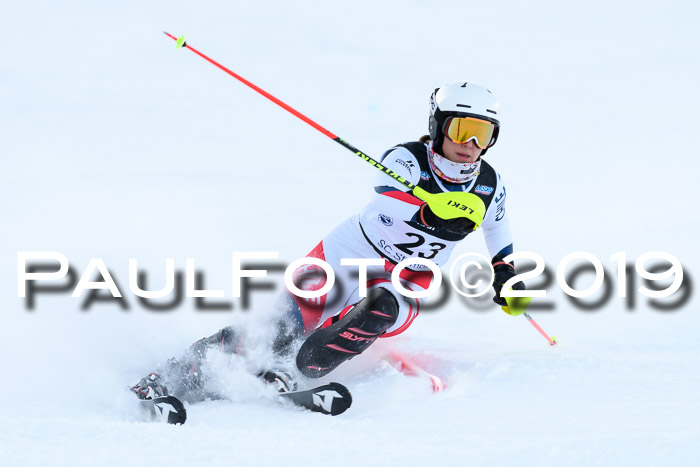 Slalom, NJC AC + FIS L+M