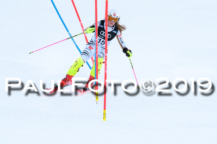 Slalom, NJC AC + FIS L+M