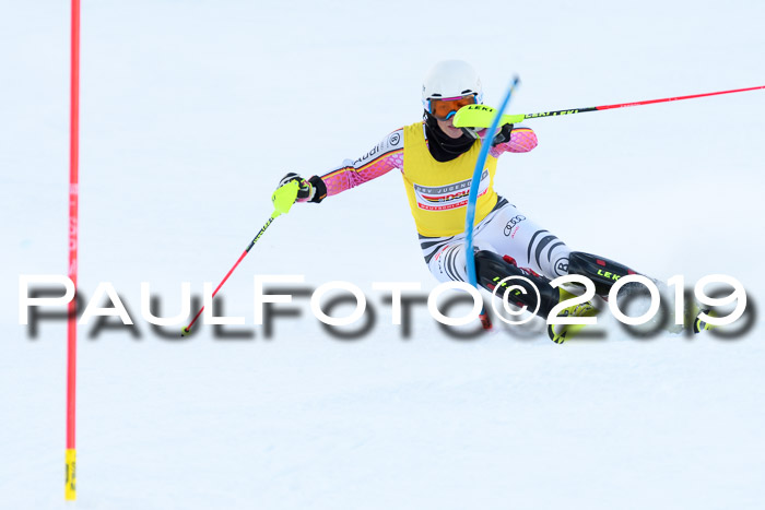 Slalom, NJC AC + FIS L+M