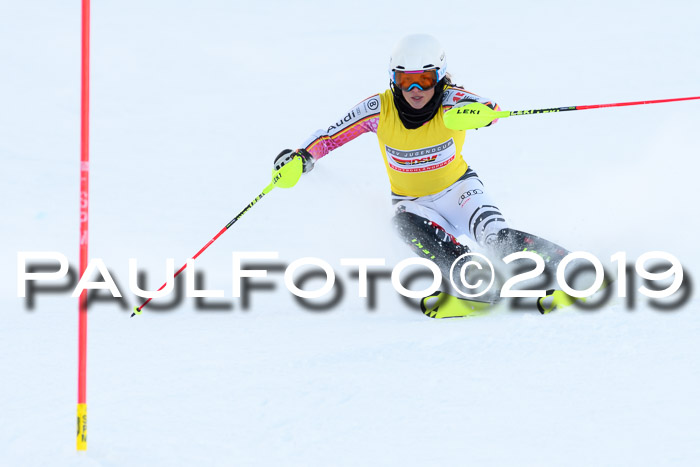 Slalom, NJC AC + FIS L+M