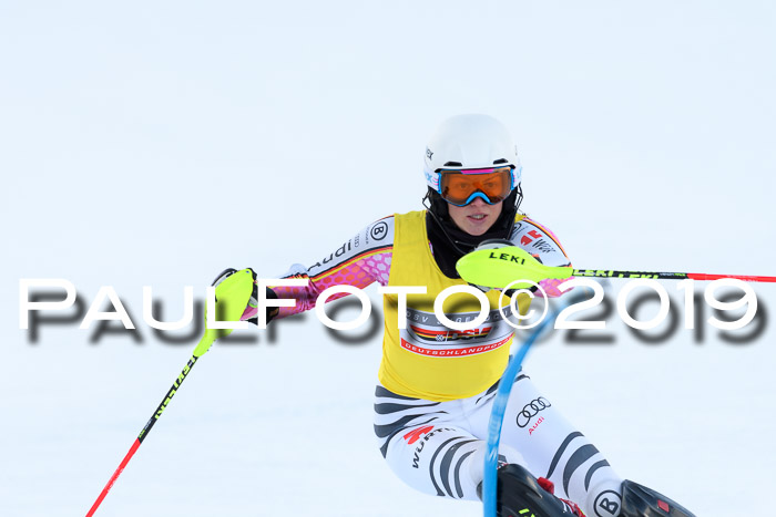 Slalom, NJC AC + FIS L+M