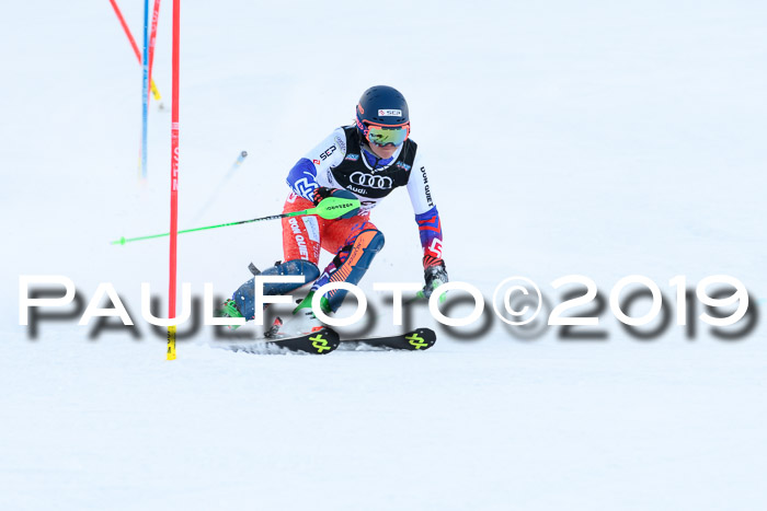 Slalom, NJC AC + FIS L+M