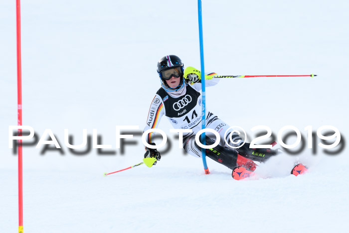 Slalom, NJC AC + FIS L+M