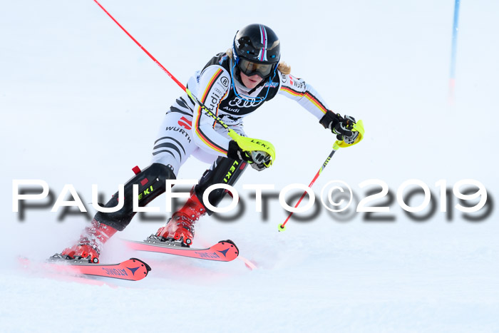 Slalom, NJC AC + FIS L+M