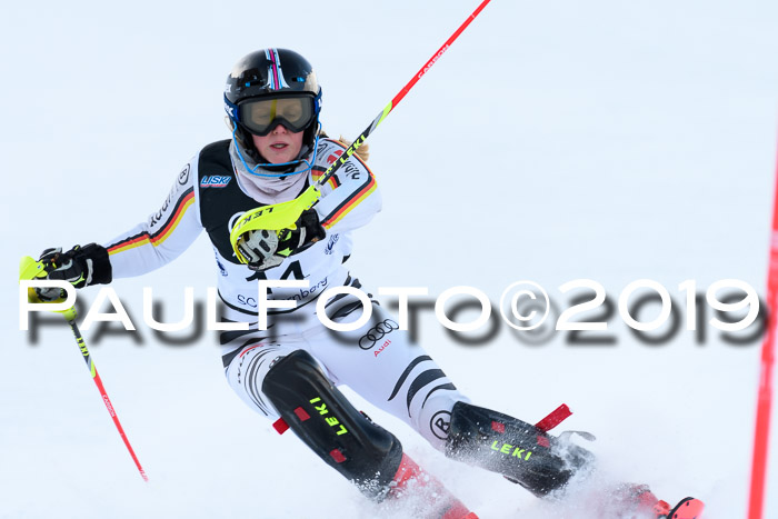 Slalom, NJC AC + FIS L+M