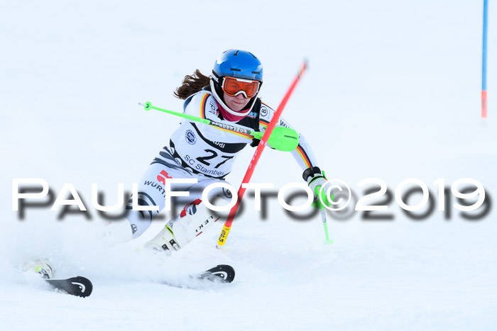 Slalom, NJC AC + FIS L+M