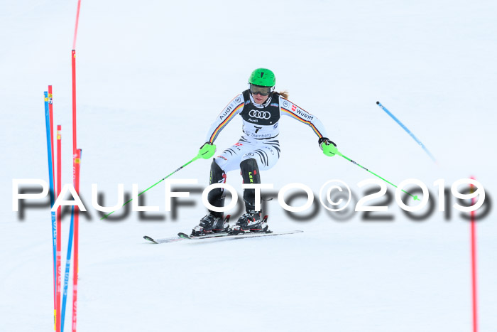 Slalom, NJC AC + FIS L+M