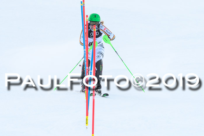 Slalom, NJC AC + FIS L+M