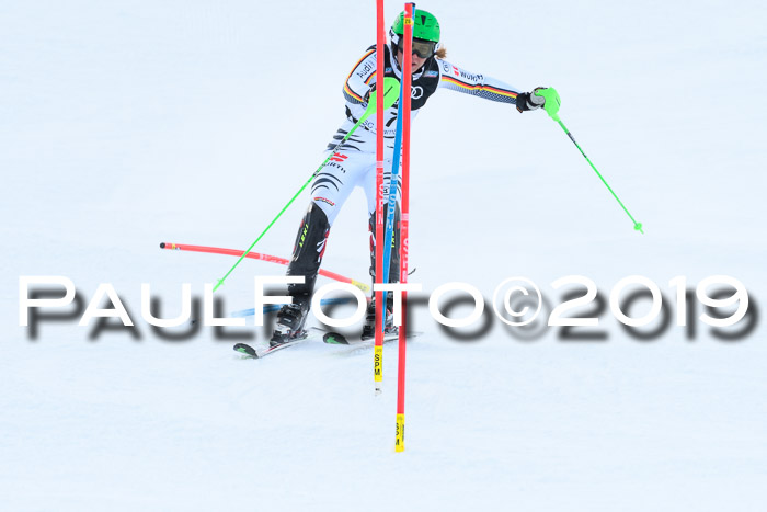 Slalom, NJC AC + FIS L+M