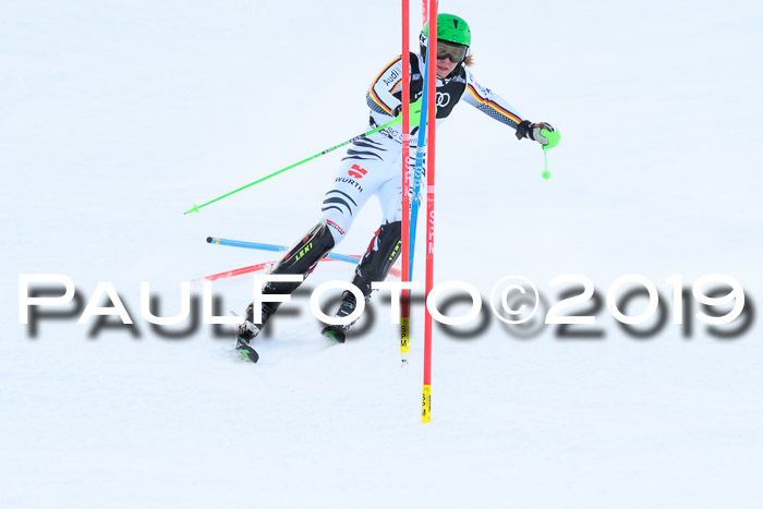 Slalom, NJC AC + FIS L+M