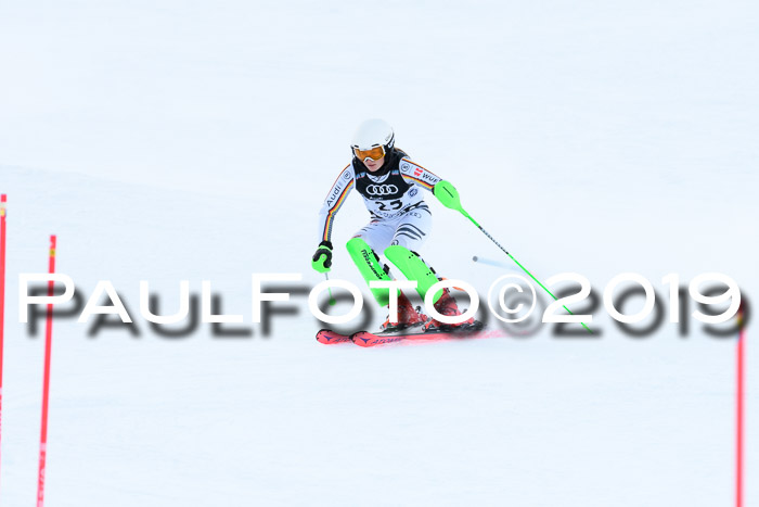 Slalom, NJC AC + FIS L+M