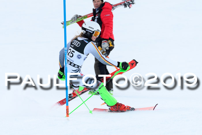 Slalom, NJC AC + FIS L+M