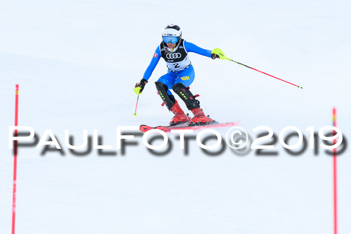 Slalom, NJC AC + FIS L+M