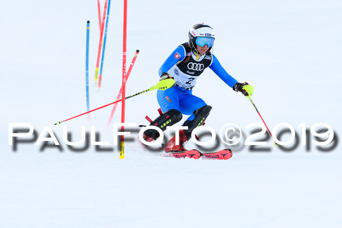 Slalom, NJC AC + FIS L+M