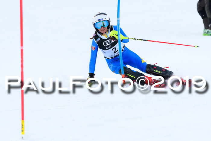 Slalom, NJC AC + FIS L+M