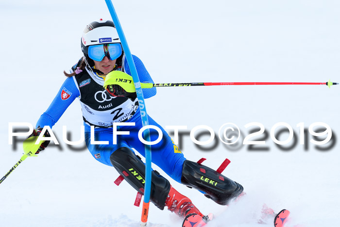 Slalom, NJC AC + FIS L+M