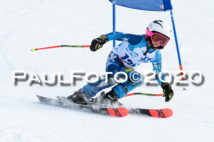 Sechzger Pokal der Skilöwen; U12 Rennserie VRS 11.01.2020