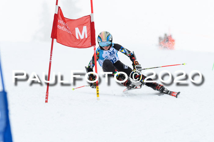 Sechzger Pokal der Skilöwen; U12 Rennserie VRS 11.01.2020