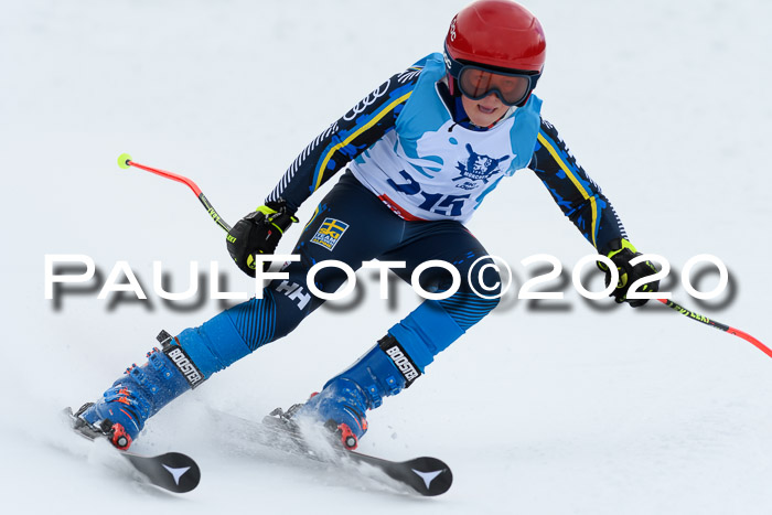 Sechzger Pokal der Skilöwen; U12 Rennserie VRS 11.01.2020
