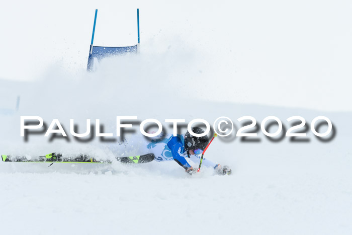 Sechzger Pokal der Skilöwen; U12 Rennserie VRS 11.01.2020