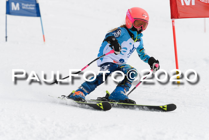 Sechzger Pokal der Skilöwen; U8/U10 Rennserie VRS 11.01.2020