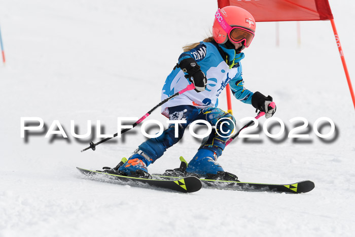 Sechzger Pokal der Skilöwen; U8/U10 Rennserie VRS 11.01.2020