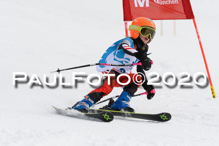 Sechzger Pokal der Skilöwen; U8/U10 Rennserie VRS 11.01.2020