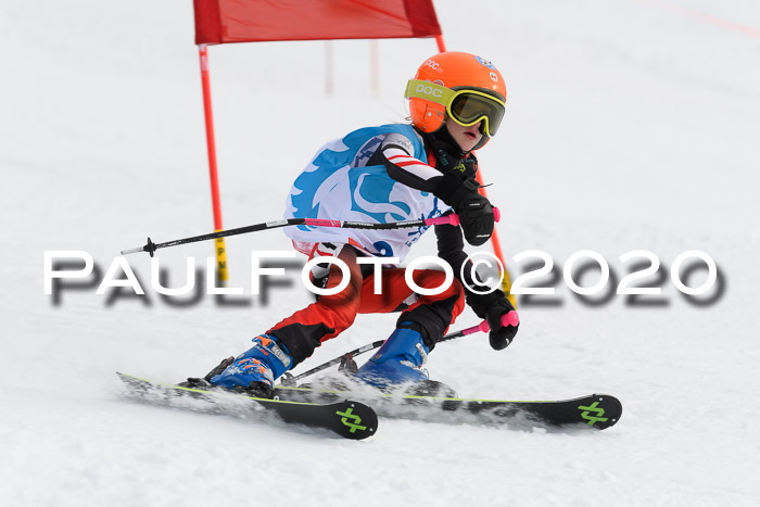 Sechzger Pokal der Skilöwen; U8/U10 Rennserie VRS 11.01.2020