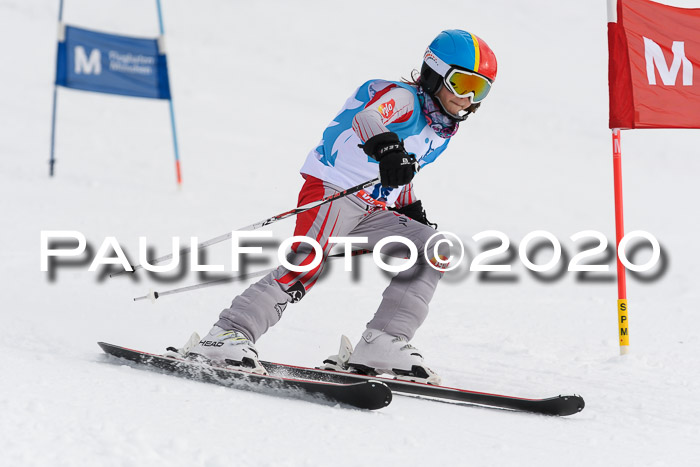 Sechzger Pokal der Skilöwen; U8/U10 Rennserie VRS 11.01.2020
