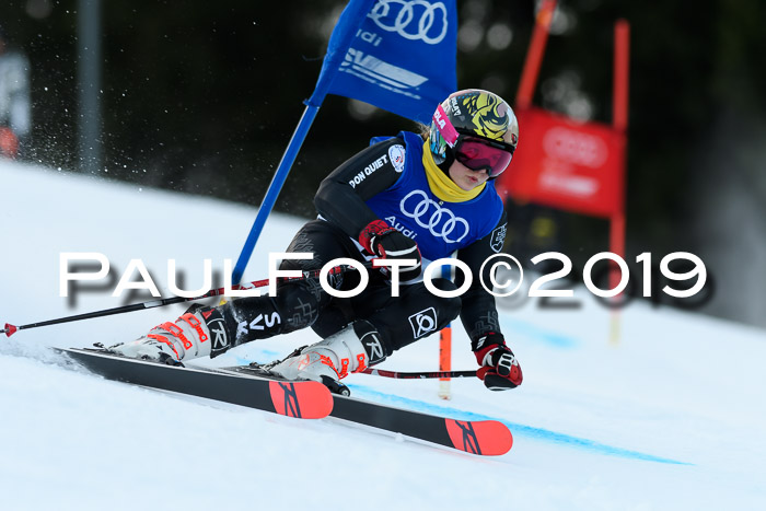 FIS Riesenslalom, ATA; Bay. Meisterschaft, Damen + Herren, 24.01.2020