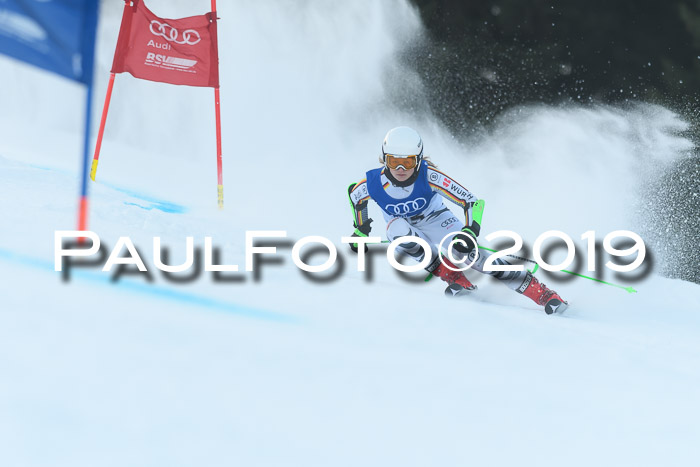 FIS Riesenslalom, ATA; Bay. Meisterschaft, Damen + Herren, 24.01.2020