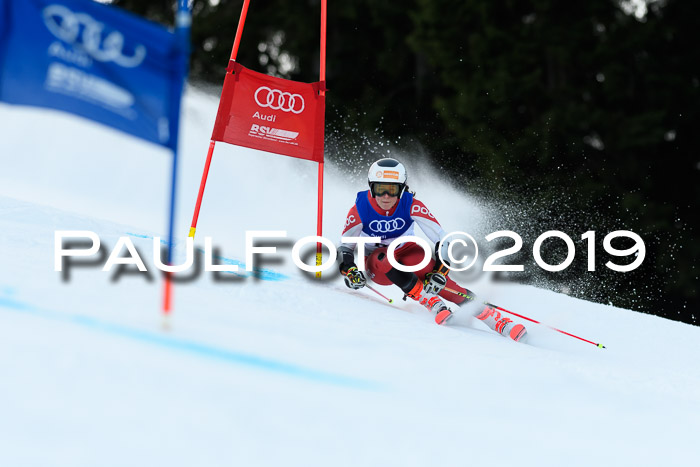 FIS Riesenslalom, ATA; Bay. Meisterschaft, Damen + Herren, 24.01.2020